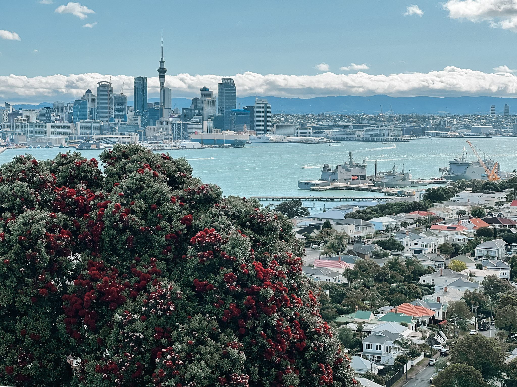 Mount Victoria (Takarunga) | Volcanic Summit & Panoramic Views - Best ...